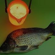 Experiment Lava Vs Fish