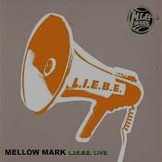 Revolution Live Mellow Mark