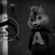 Чорний Дельфин Бурундуки