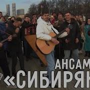Ансамбль Сибиряки Новосибирск