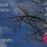 Вальс Без Авторских Прав