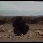 Dawn Of Man
