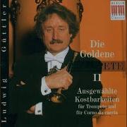 Concerto For Oboe Strings And Basso Contrio In Dm