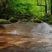 Пайгамбаримиз С А В Ни Согиндик