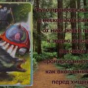 Андрей Саломатов Тайна Зелёной Планеты