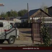Басындағы Битін Кетірмек Болып Қызын Өлтіріп Алды