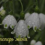 Ты Теперь Жена