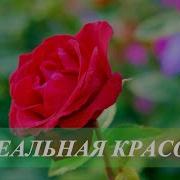 Саблиминал Редкая Красота