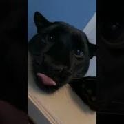 Самые Красивые Глаза У Того Кто Смотрит На Тебя С Нежностью