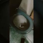 Меня Обливали Сали И Сали