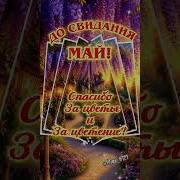 С Добрым Вечером