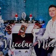Puiu Codreanu Nicolae Nicolae