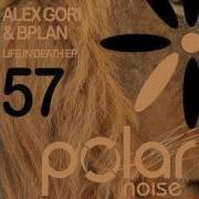What Is Alex Gori Bplan
