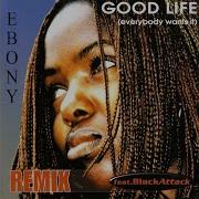 Good Life Remix Radio Version
