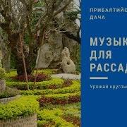 Музыка Для Растений