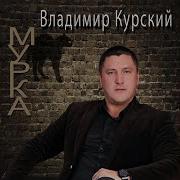 Владимир Курский То Ли Ангел То Ли Бес