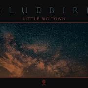 Bluebird Little Big Town