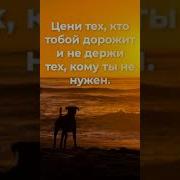 Не Нужно Навязываться Людям И Ты Поймешь