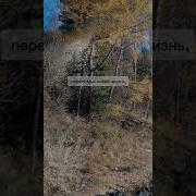 Очень Важно Научиться Никого Не Держать