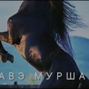 Савэ Муршаря Тэ Марэл И Бах