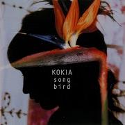 I Catch A Cold Kokia