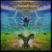 Stereomantra Projections