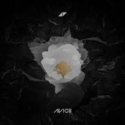 Avicii Friend Of Minw Extended