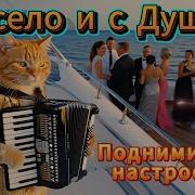 Песни Для Души С Юмором