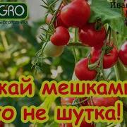 Заставки Пятого Канала