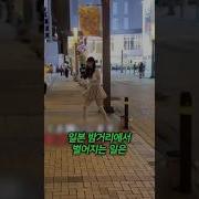 야메떼구다사이