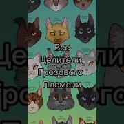 Коты Воитеои Голомса Эдит