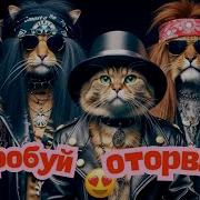 Русские Песни И Клипыфевраля Artony