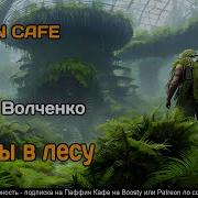 Павел Волченко Аудиокниги