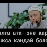 Атадан Мурда Сакал Койсо Болобу Шейх Чубак Ажы