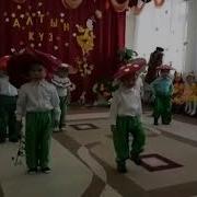 Балабакшада Саңырауқұлақтар Биі