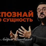 Шаповалов Андрей
