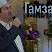 Гамзалав Гамзалов Нашиды