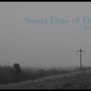 Sweet Days Of Discipline