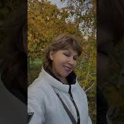 Осенние Настроение 2023