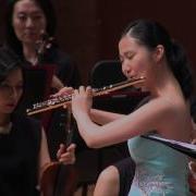 Flute Concerto In D Major No 2 K 314 W A Mozart