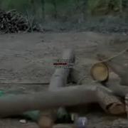 Дозах Жаннат