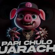 Papi Chulo Guaracha 2024 Y A Ti Te Va A Encantar Dj Morphius Pedro Mexa Aleteo Zapateo Dj Morphius