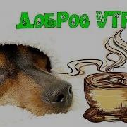 Доброе Утро Солнышко Красивая Музыкальная Открытка Милотаааа