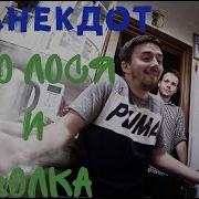Денис Пошлый Анекдот Про Волка И Осла Mp4