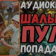 Шальная Пуля Книга3