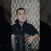 Разбор Песни Один Раз В Год Сады Цветут На Баяне 1 Часть