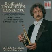 Concerto For Trumpet Strings And Basso Continuo In D Major Twv51 D7