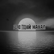 Холодный Закат Чёрно Белого Цвета
