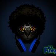 Mashed Up Funk Harder Rocker
