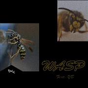 Shapate Wasp